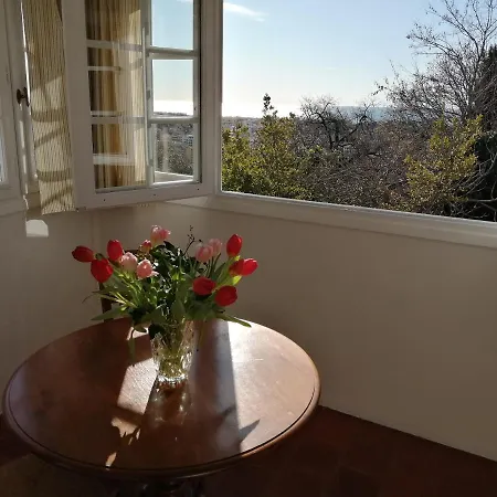 Chambres D'Hotes Les Terrasses Du Soleil Cagnes-sur-Mer Exterior photo