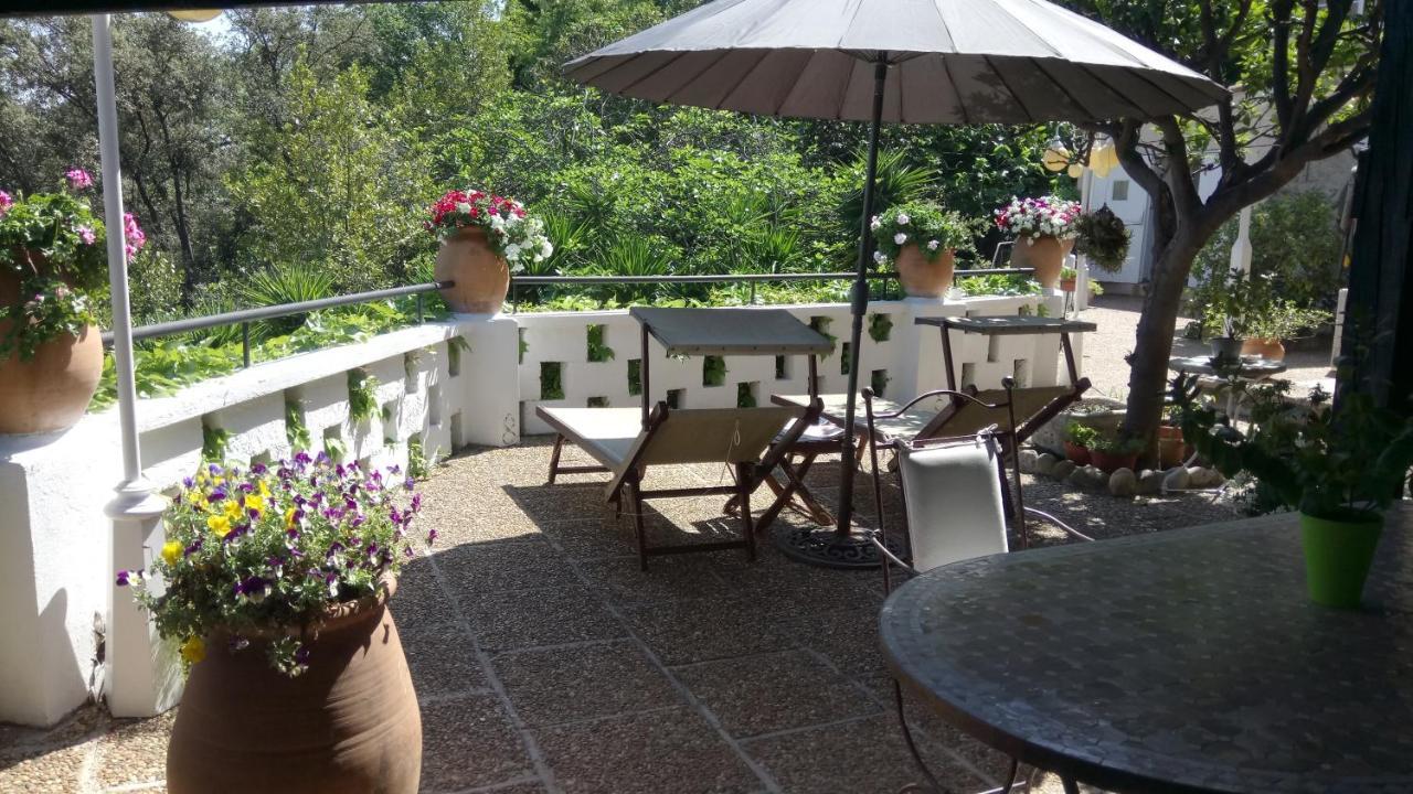 D'hotes Les Terrasses Du Soleil Bed & Breakfast Cagnes-sur-Mer